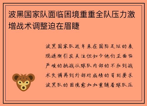 波黑国家队面临困境重重全队压力激增战术调整迫在眉睫